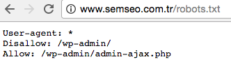 sem seo robots.txt nedir?