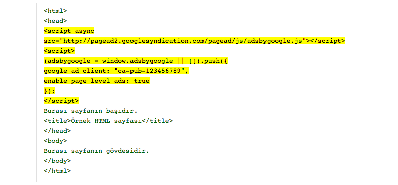 Google Adsense kodu ekleme