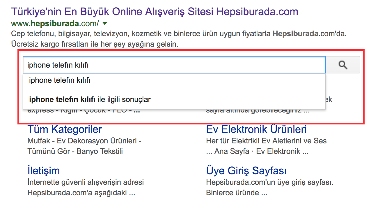 sitelinks searchbox arama örneği