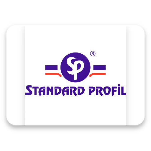 Standard Profil SEO ve SEM çalışmaları