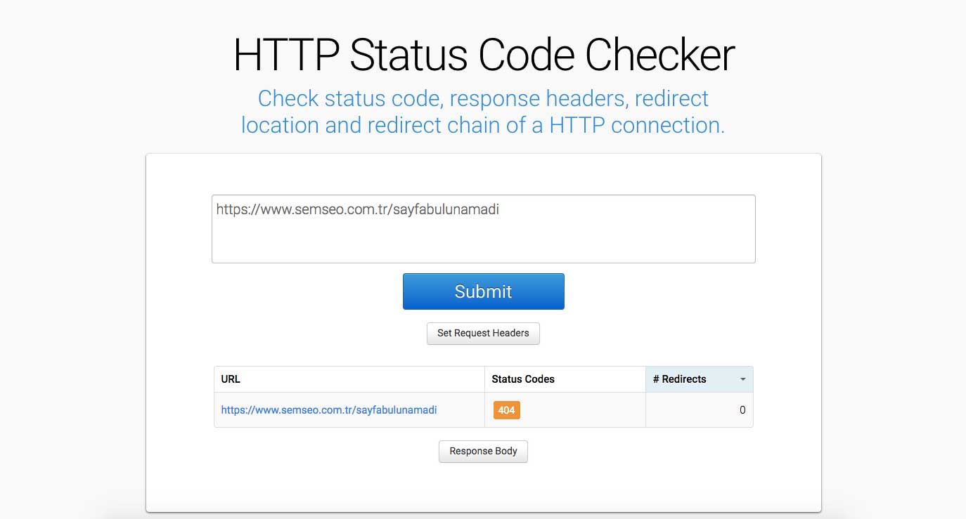 HTTP Status Code Checker 404 Durum Kodu Tespiti