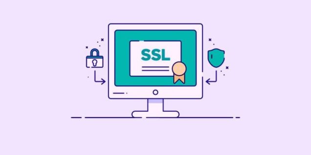 SSL sertifikası